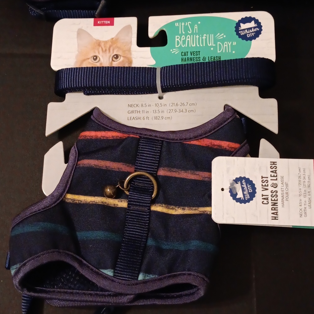 Kitten vest harness and leash set